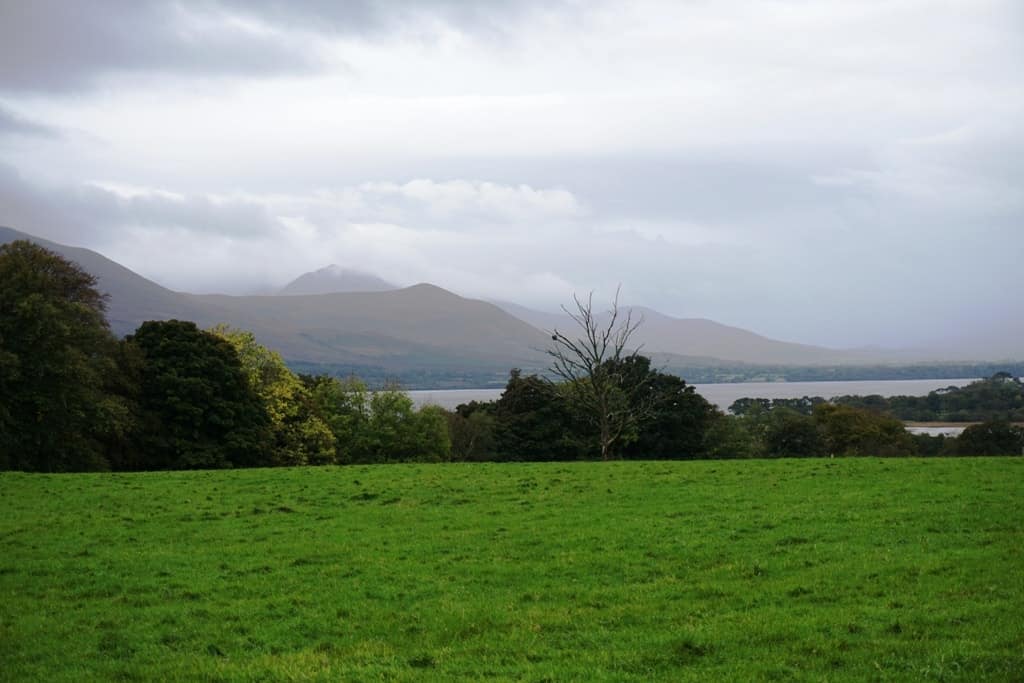Things to do in Killarney