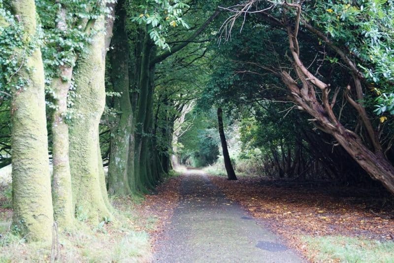 Top 11 Things To Do In Killarney, Ireland