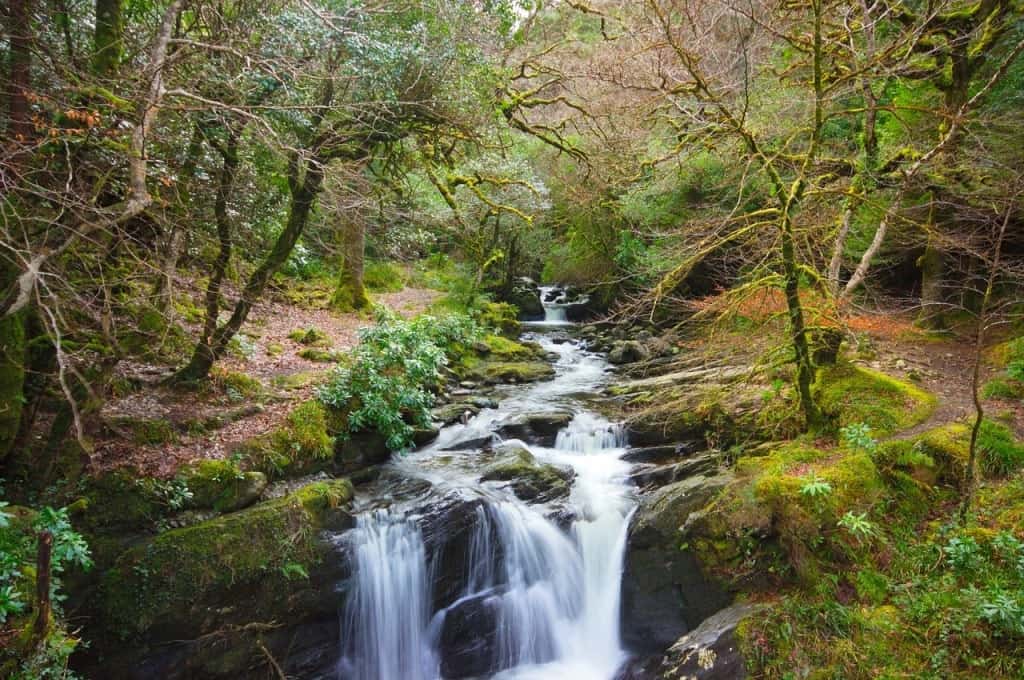 Torc Waterfall -Things to do in Killarney, Ireland