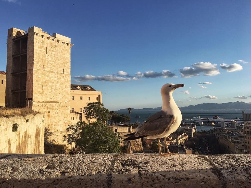 Cagliari, Italy -The most romatic places in Europe