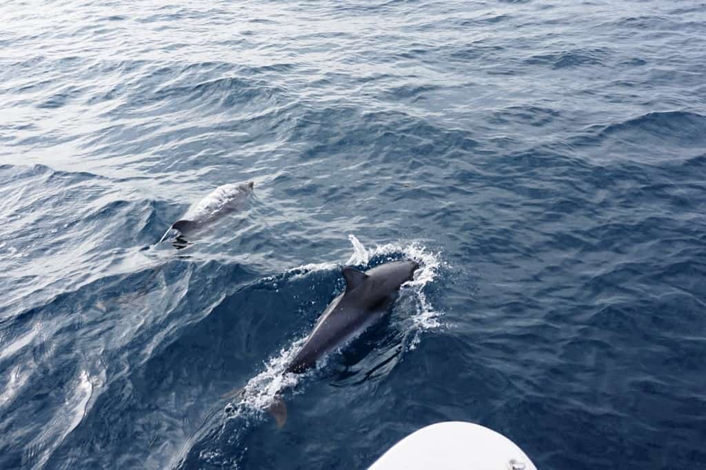 italian tourist attraction furthest south