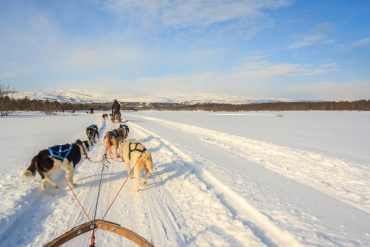 Top 7 Cool Things to Do in Norway in Winter - travelpassionate.com