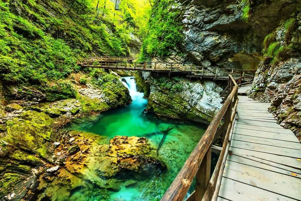 a Day Trip to Vintgar Gorge -Things to do in Lake Bled
