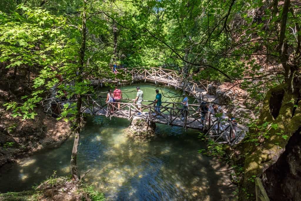 Valley of butterflies in Rhodes- things to do in Rhodes Greece