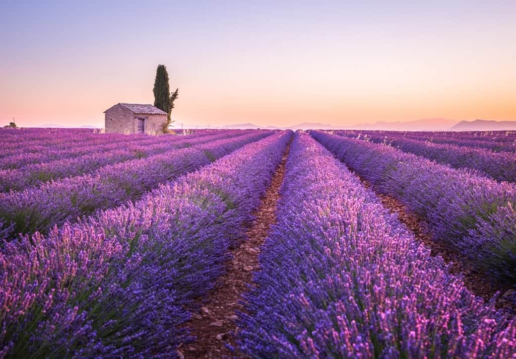 Best places to visit in July in Europe - Provence