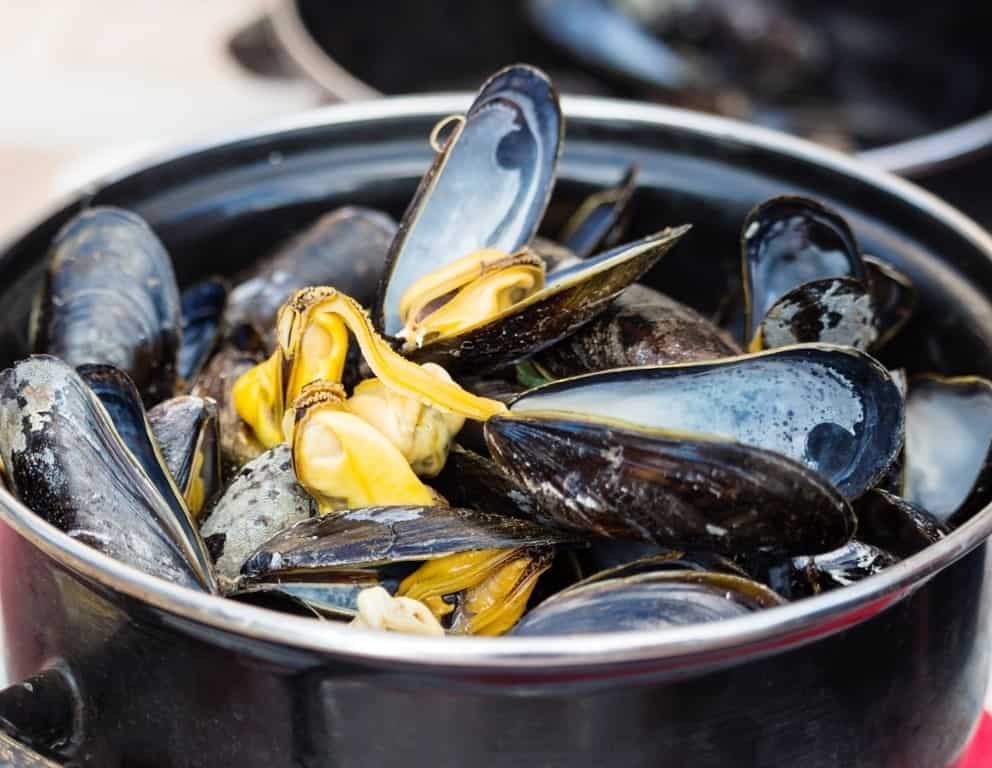 Belgian steamed mussels