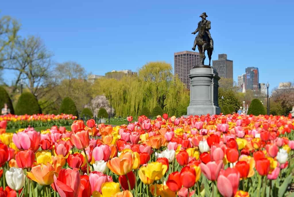 Public Gardens in Boston - One day in Boston