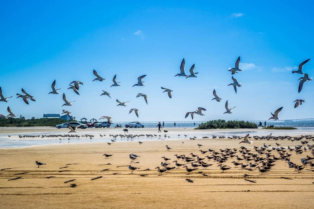 South Padre Island, Texas-Kuumat kohteet vierailla USA: ssa lämpimässä talvisessa joulukuussa