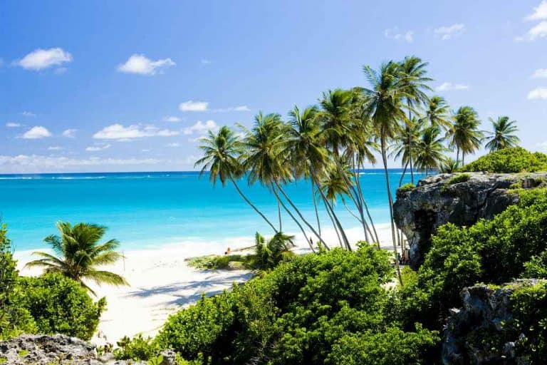 Best Caribbean Islands to Visit in February