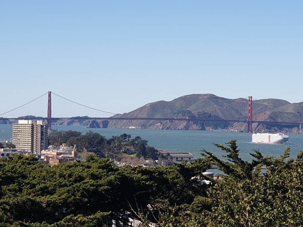 view from Coit Tower - San Francisco itinerary