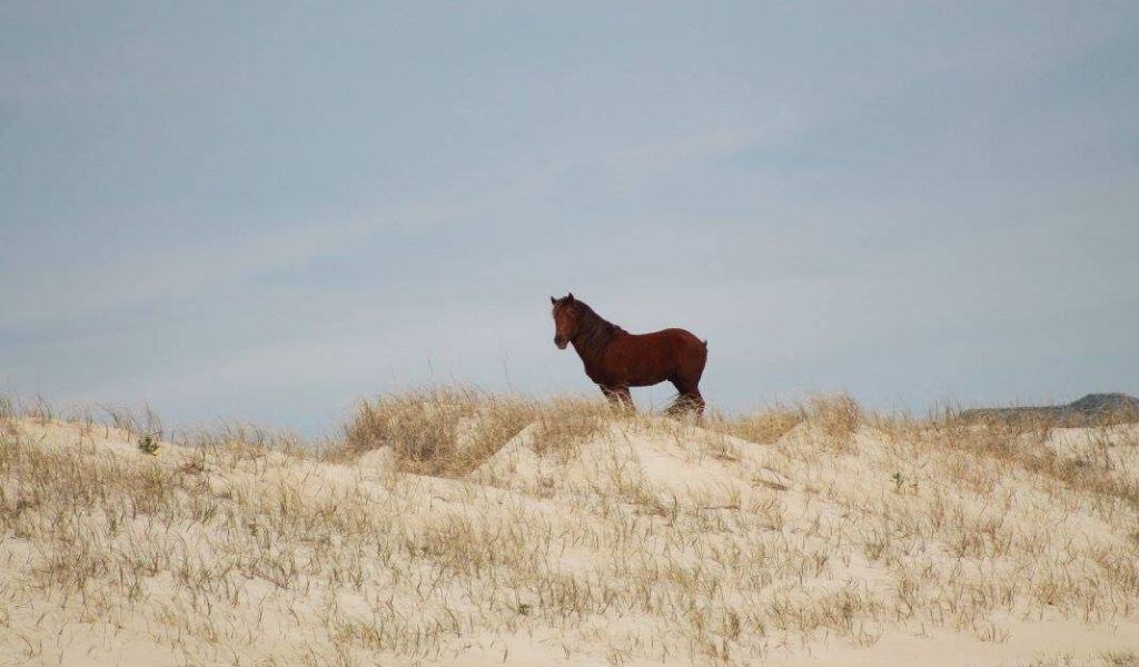 Outer Banks