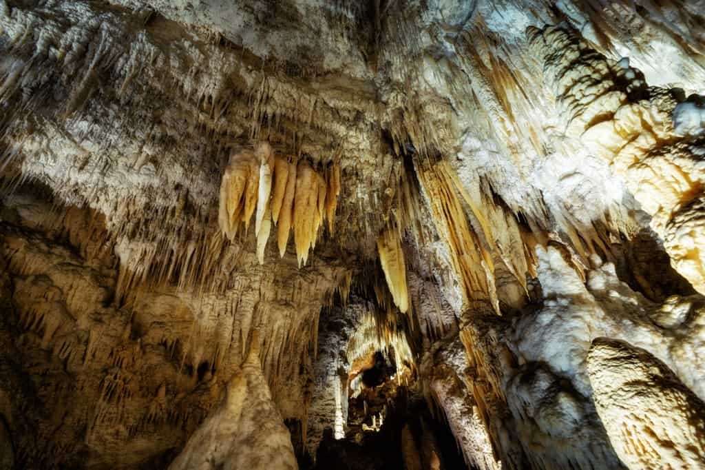Waitomo Caves - New Zealand