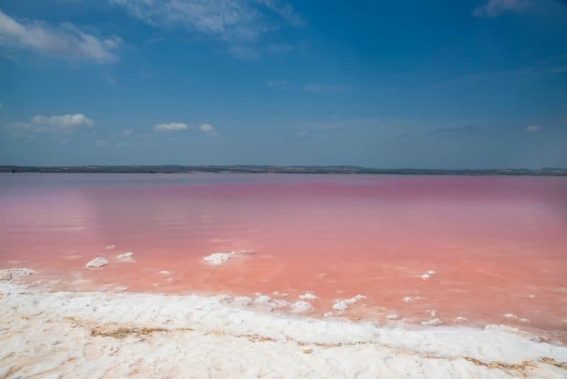 Pink salt lake in Torrevieja. Province of Alicante,