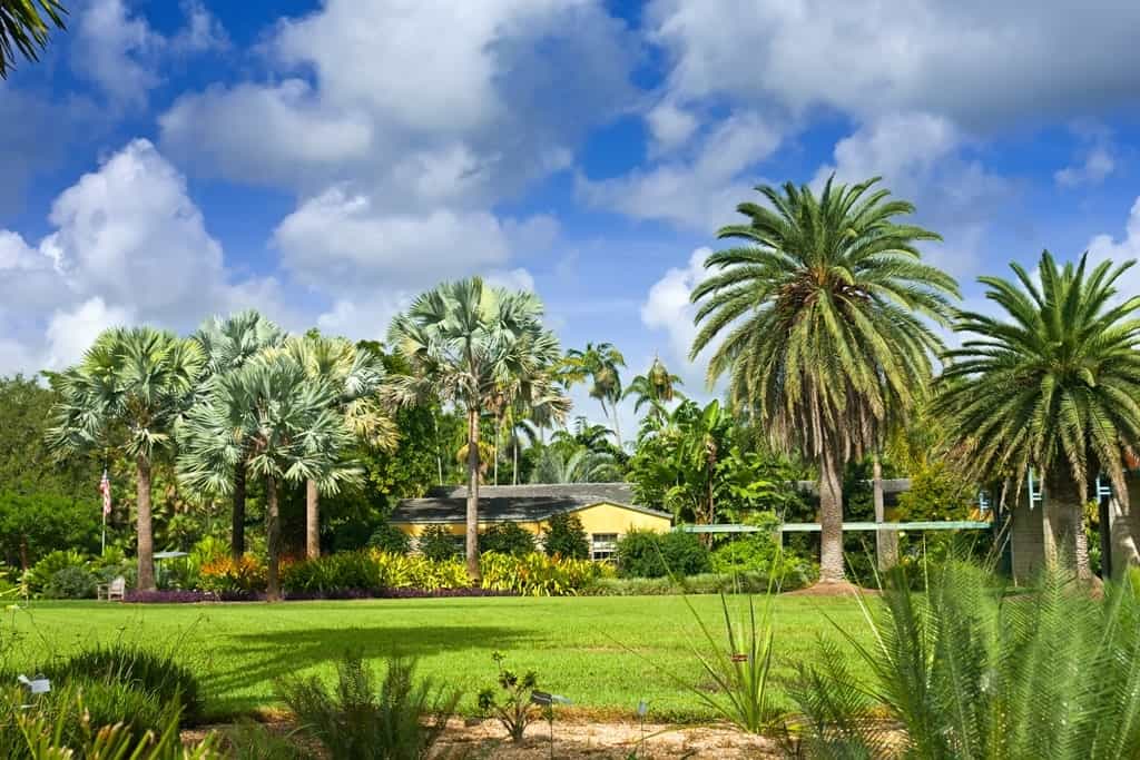 Fairchild Tropical Botanical Garden in Miami