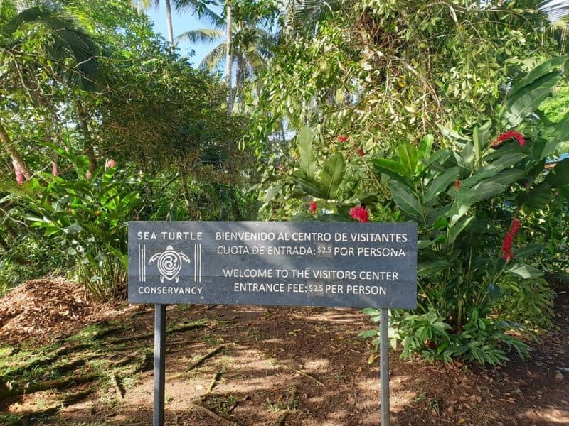 Tortuguero Conservation Center 