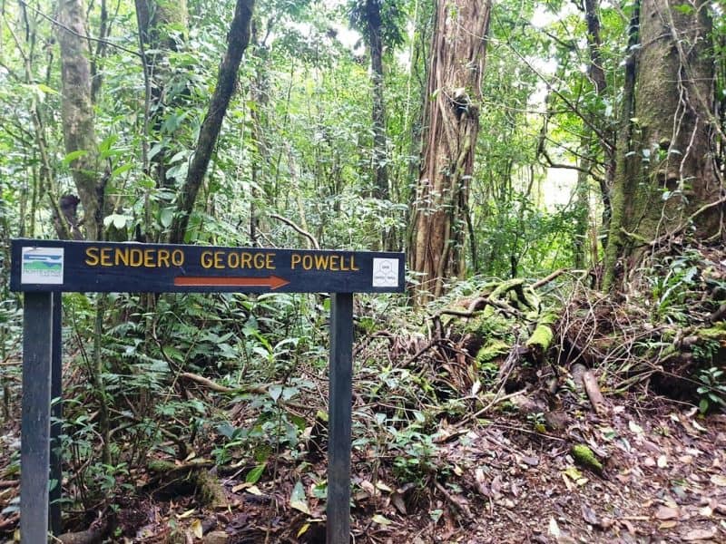 hiking in Monteverde Costa Rica