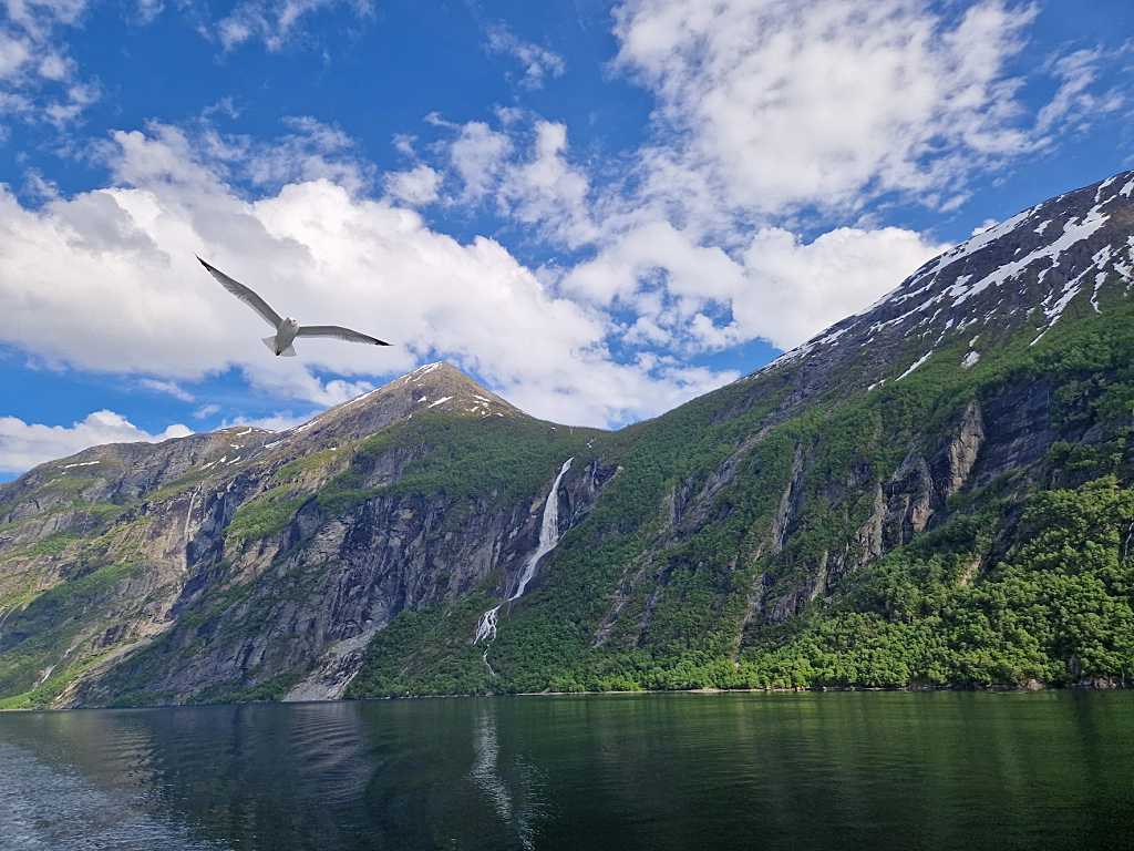 Gull -Geirangerfjord in Norway