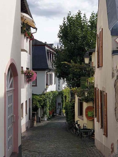 winery tour rudesheim