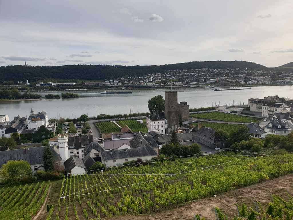 Vue d'en haut - Le guide ultime de Rüdesheim Am Rhein, Allemagne