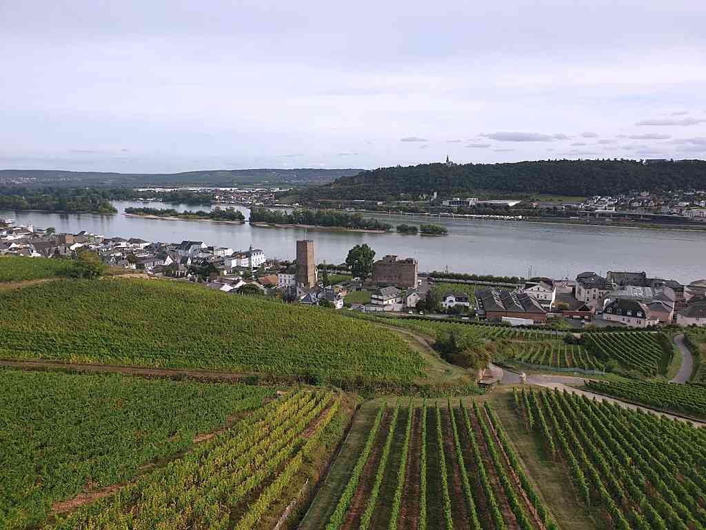 View - The Definitive Guide to Germany's Rudesheim Am Rhein
