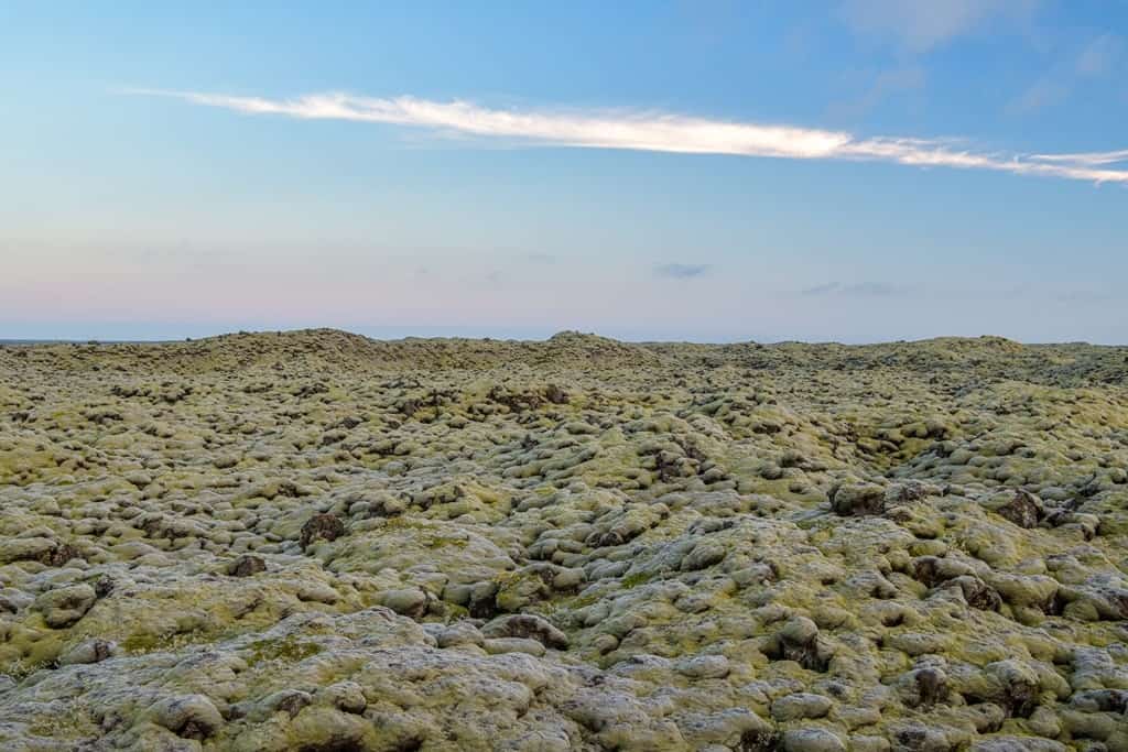 Lava fields in Eldhraun, Iceland - What is Iceland Famous for