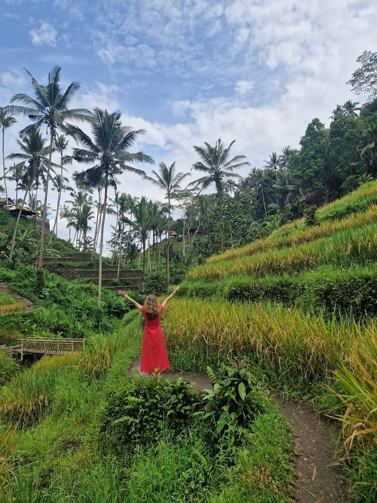 Bali is famous for the Rice Terraces