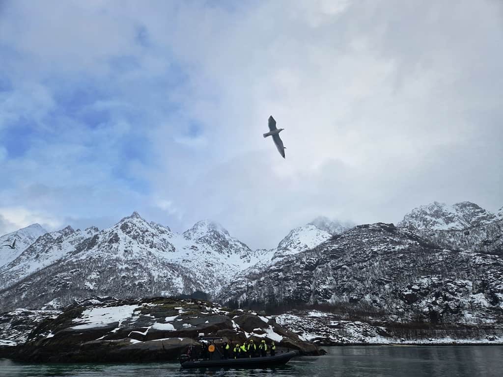 things to do in the lofoten islands in winter