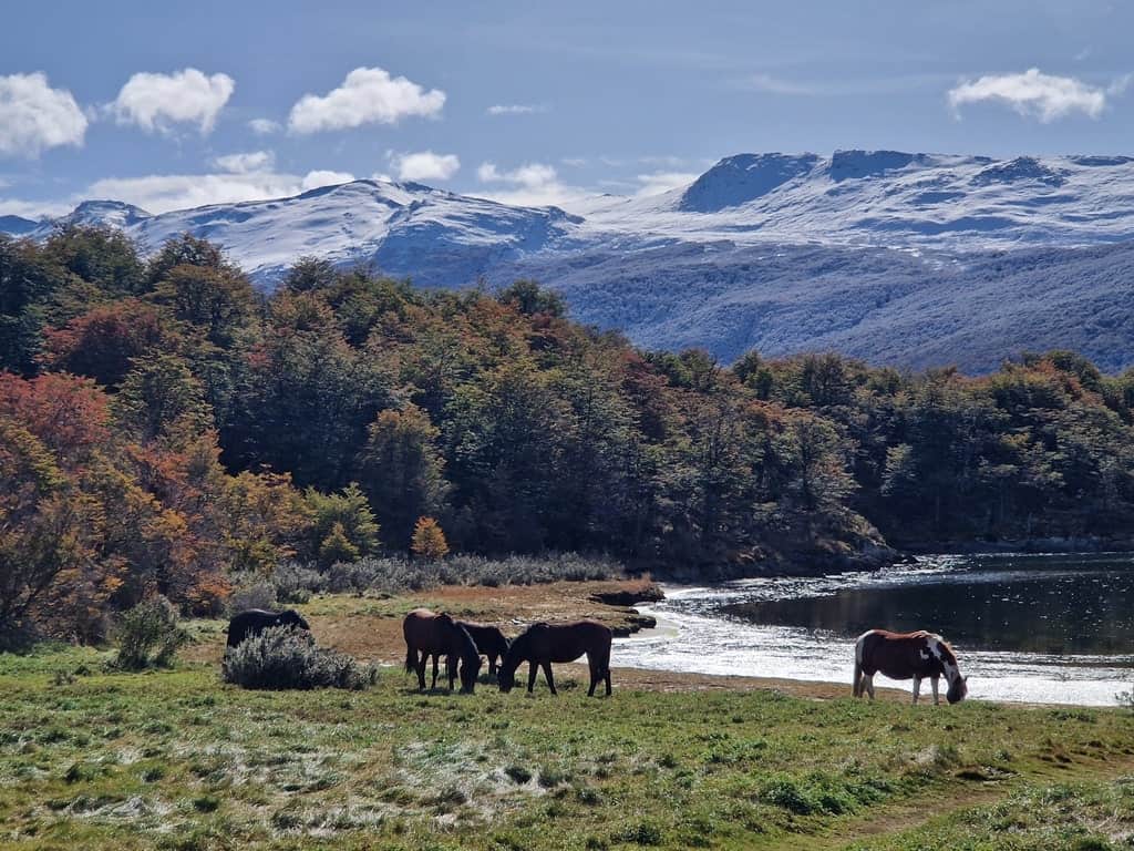 Tierra del Fuego National Park in Ushuaia