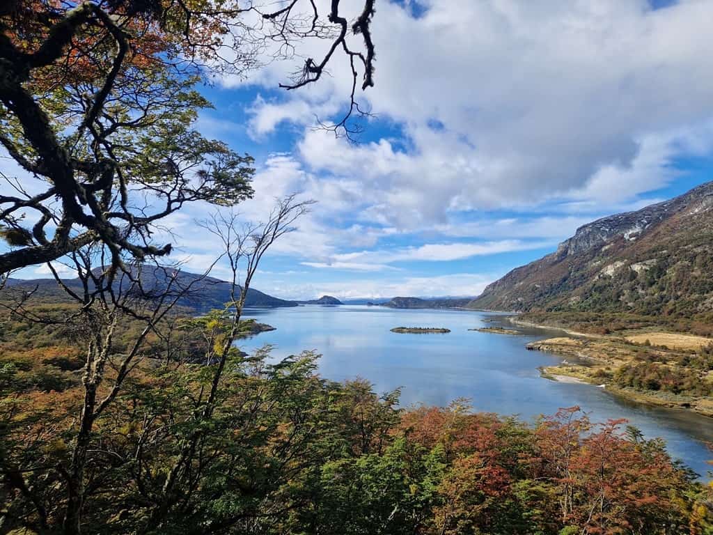 Tierra del Fuego National Park - Things to do in Ushuaia