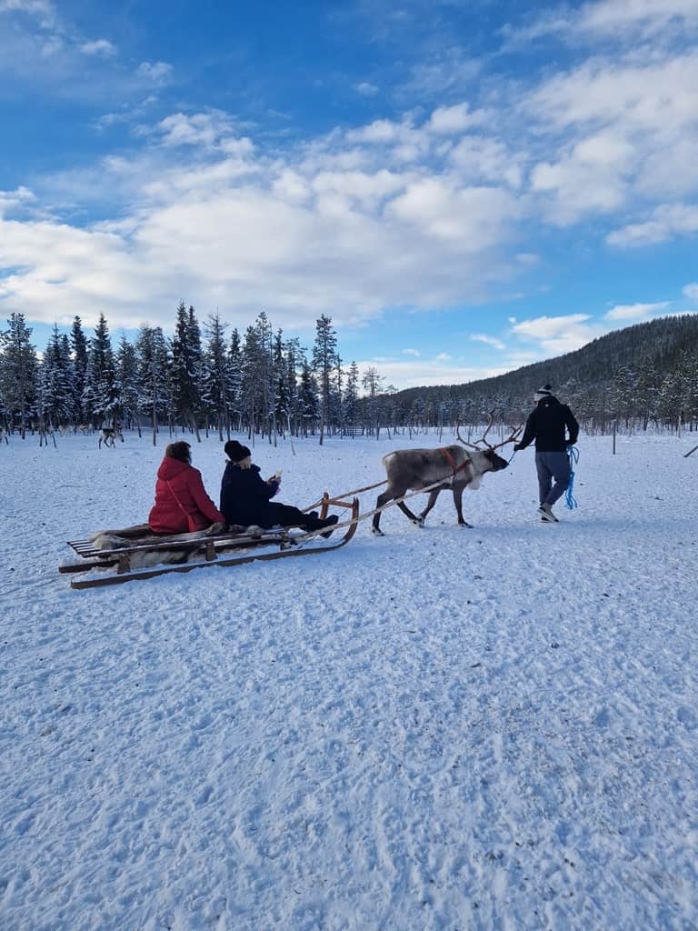 Reindeer Sleigh Ride in the Lapland in winter