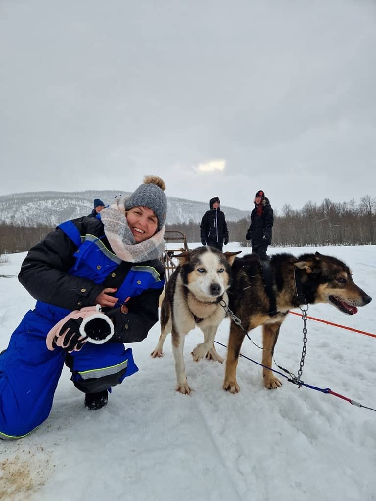 Husky Dog Sledding in the  Norwegian Lapland in winter 