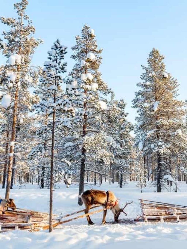 Lapland in Winter: Best Things to Do Story